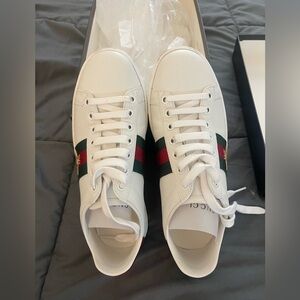 Gucci Ace Bee Sneaker (authentic)